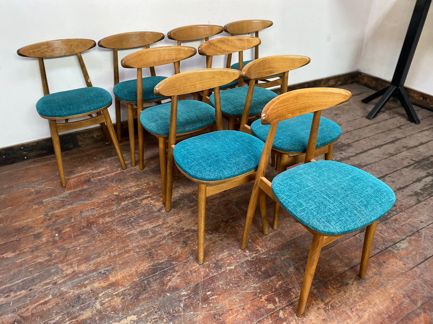 9 curved wooden dining chairs with turquoise seats