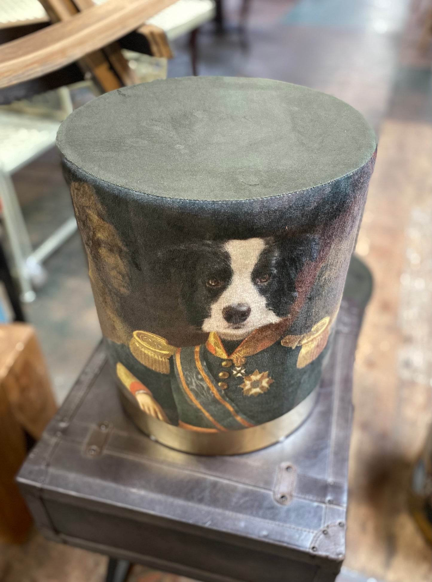 Military dog portrait seat / stool (border collie)