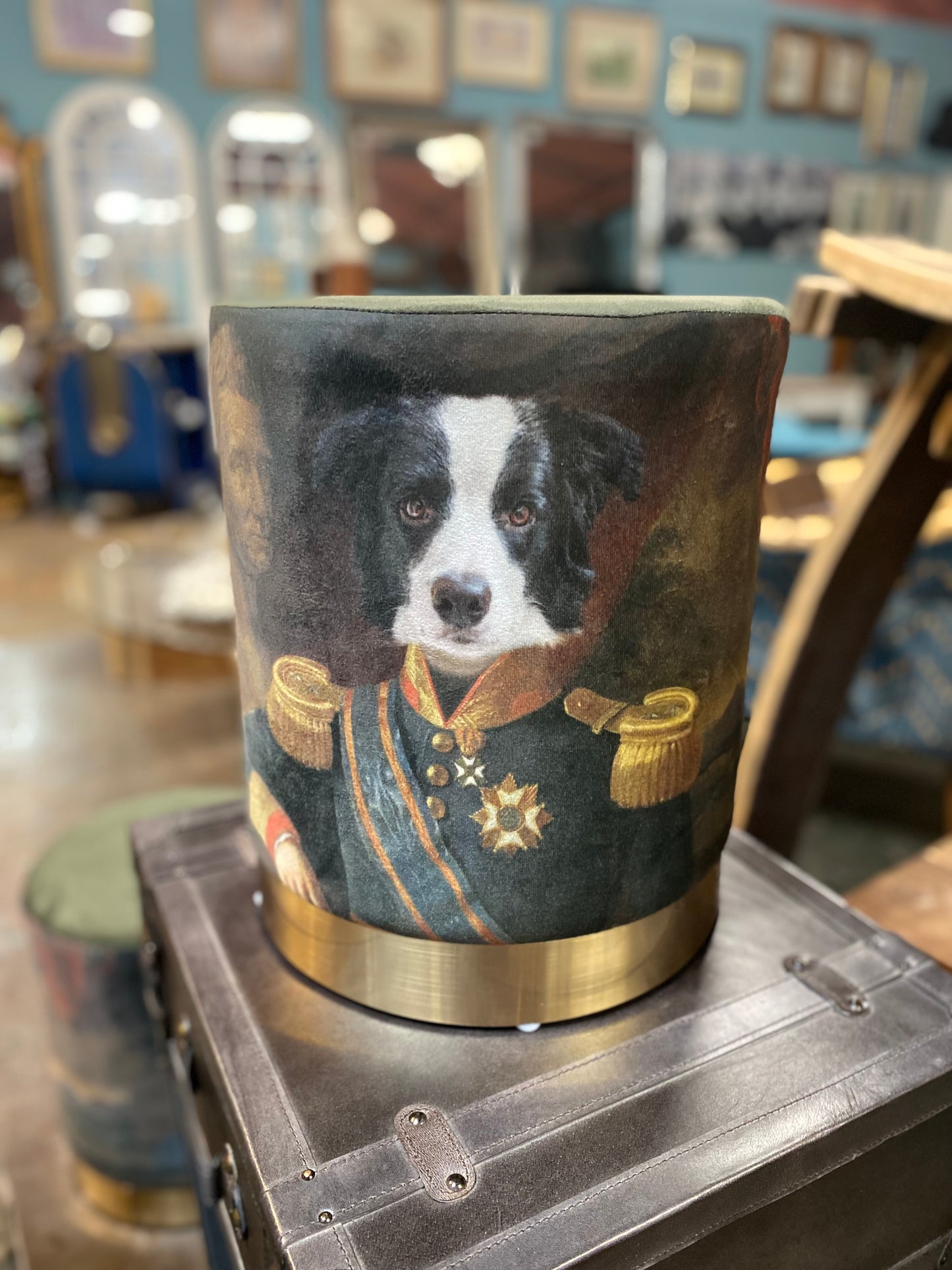 Military dog portrait seat / stool (border collie)